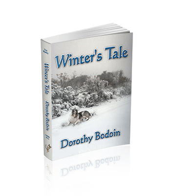 Winter's Tale (The Foxglove Corners Series Book 3)