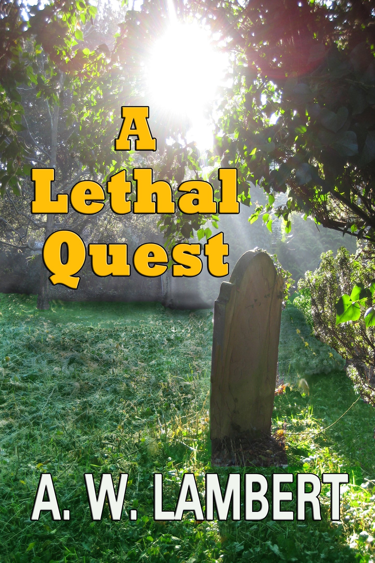 A Lethal Quest
