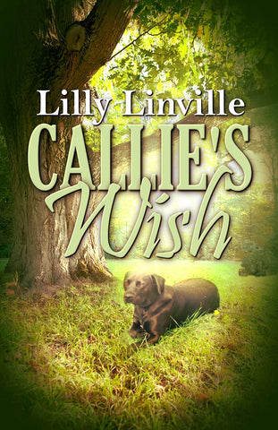 Callie's Wish