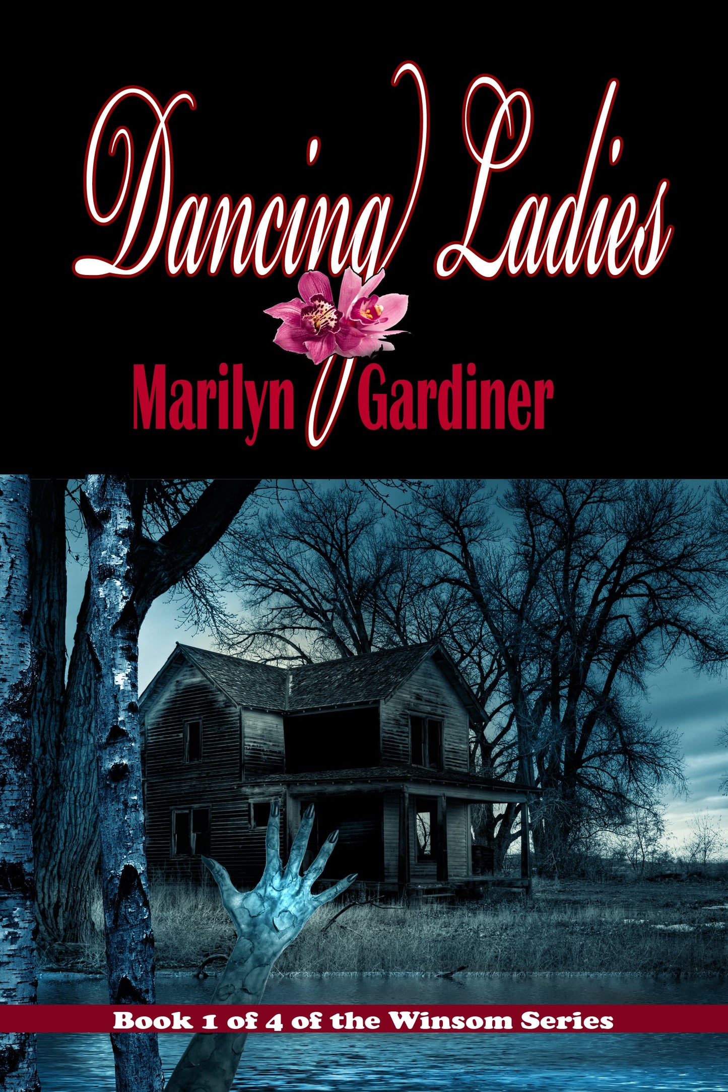 Dancing Ladies (The Windemere Series Book 1)