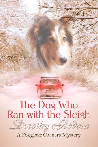 The Dog Who Ran with the Sleigh