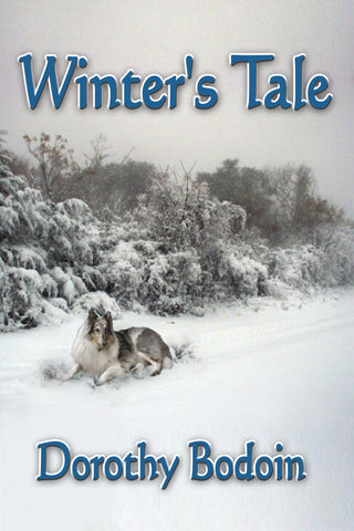 Winter's Tale (The Foxglove Corners Series Book 3)
