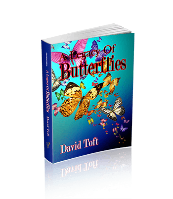 A Legacy Of Butterflies (the Butterflies Trilogy Book 2)