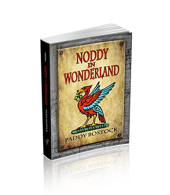 Noddy In Wonderland
