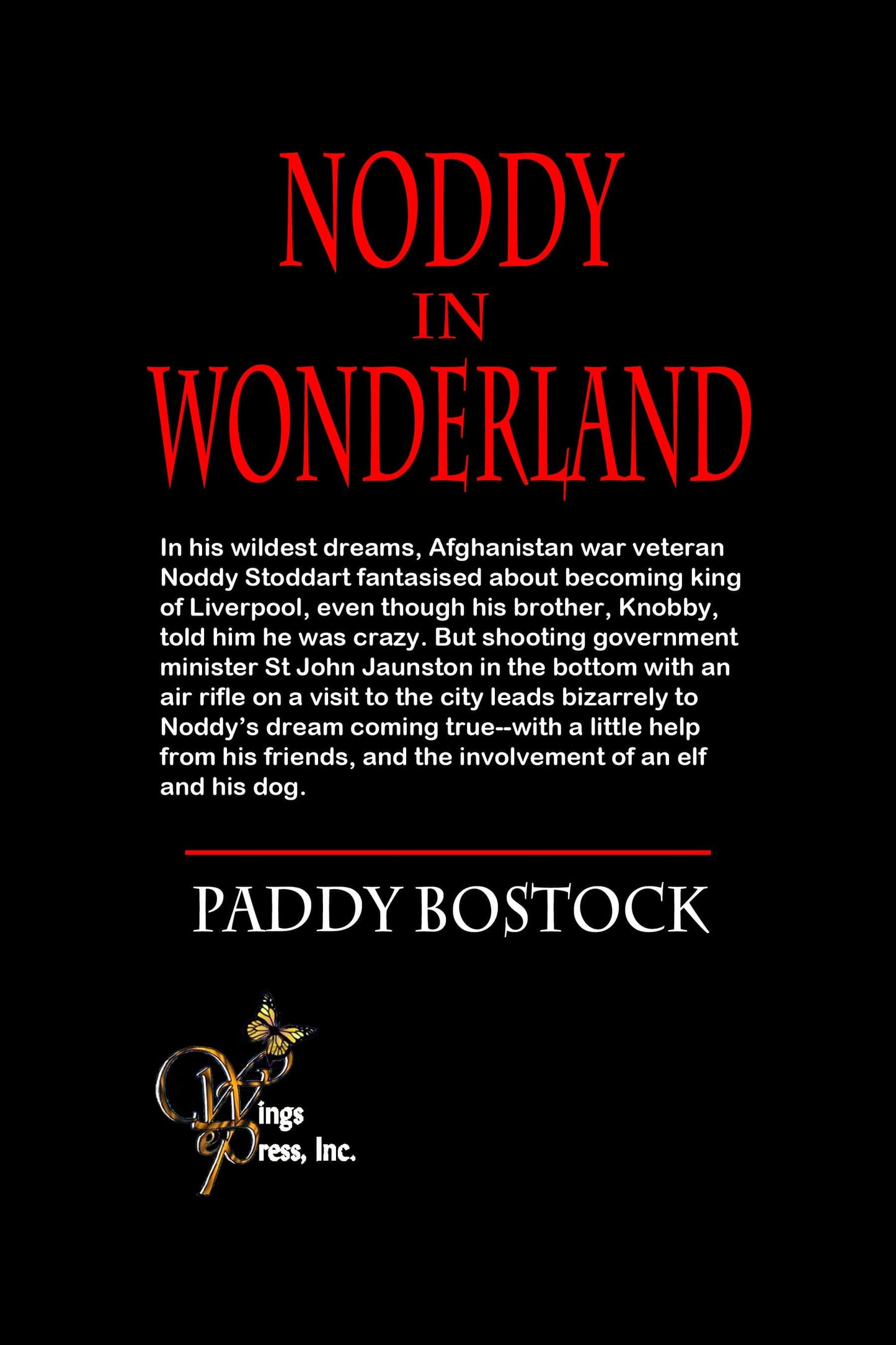 Noddy In Wonderland