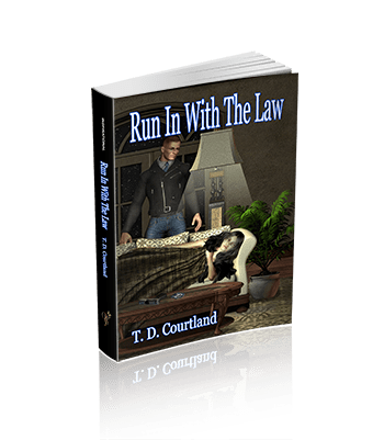Run In With The Law (The Austin trilogy Book 1)