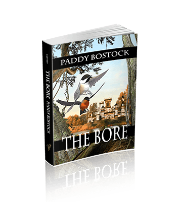 The Bore (The Magical Mysteries Series)